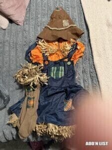 Scarecrow costume girl