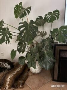 Artificial decorative plant