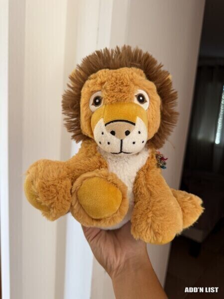 Hot water bottle plush