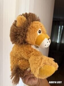 Hot water bottle plush