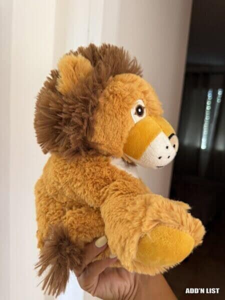 Hot water bottle plush